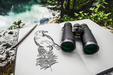 Monarch HG 8*42 / 10*42