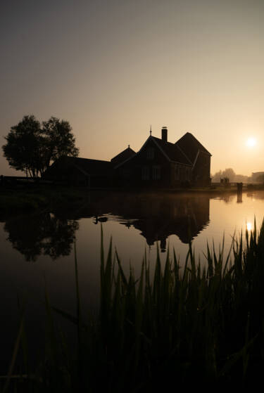 Images for Nikon magazine