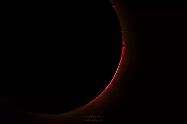 nikon-image